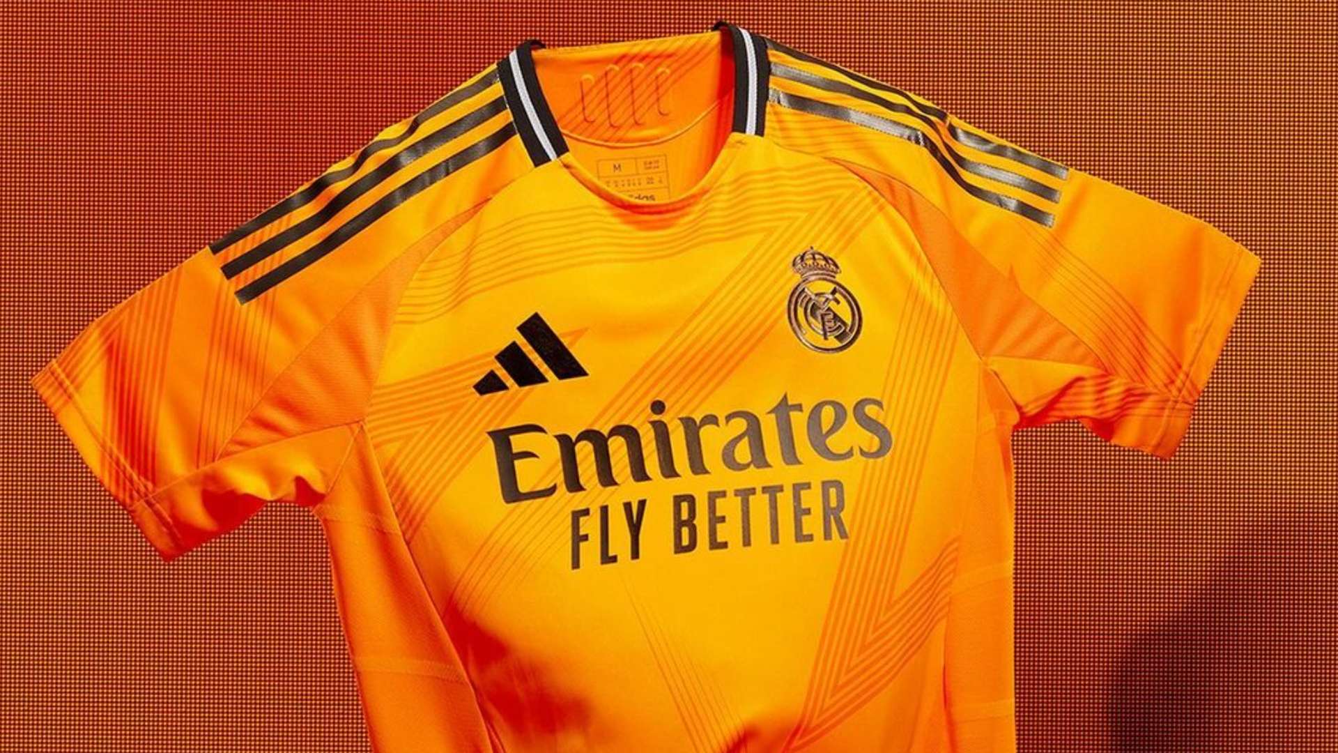 不仅提供了 不仅提供了